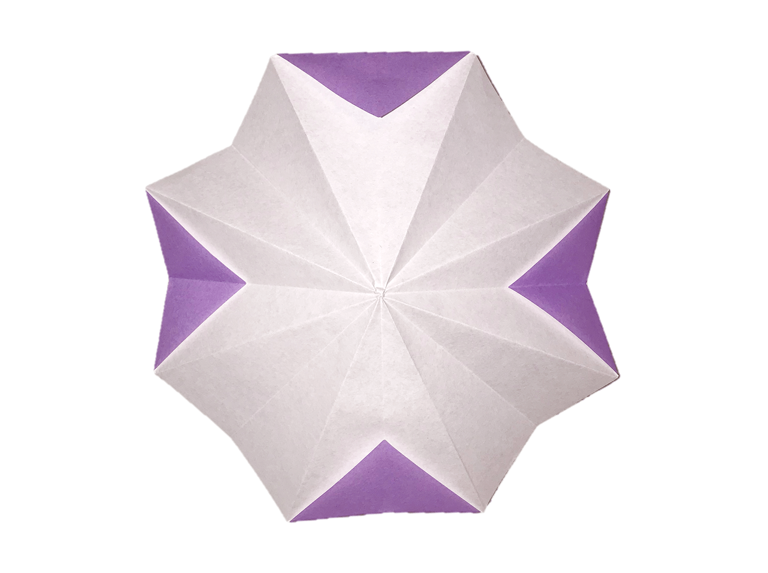 50 折り紙 紫 1775 折り紙 紫色 Saikonomuryofeed