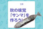 【折り紙】簡単な「モミジ」の折り方