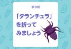 【折り紙】「松ぼっくり」を折ってみましょう！