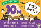 お月見はいつ何をする？ 由来は？ 保育園で楽しむ製作アイディア9選