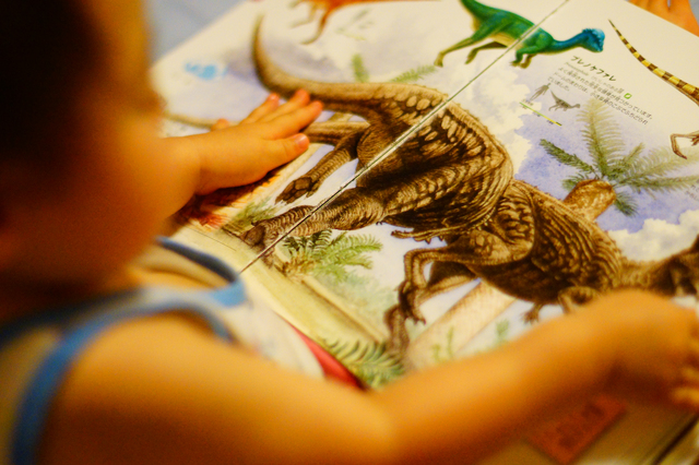 【恐竜博覧会】オダイバに福井県立恐竜博物館の標本がやってくる！