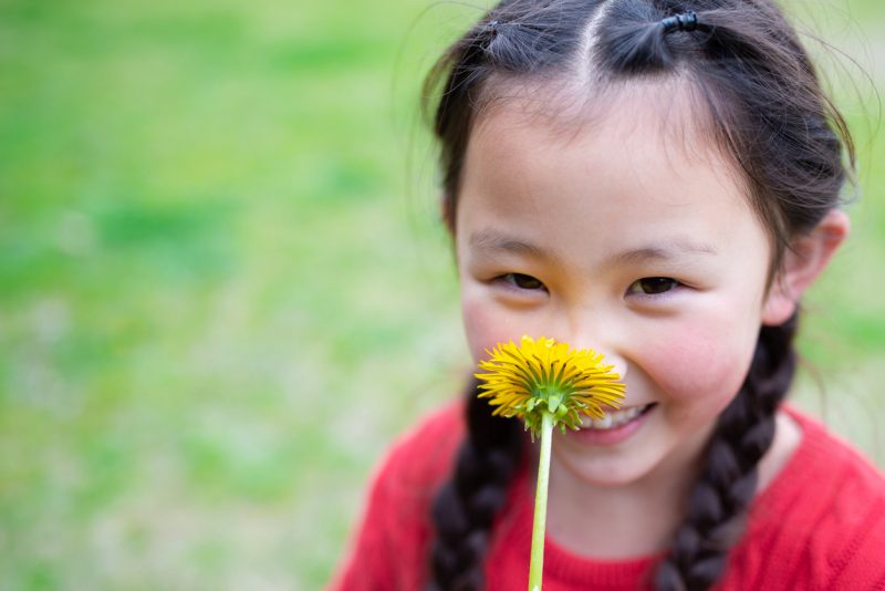 幼児期の終わりまでに育ってほしい10の姿とは？具体例と保育への役立て