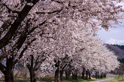 富山県の景観