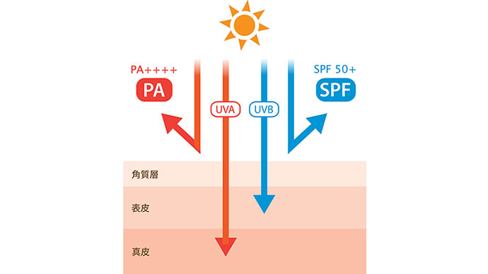 SPFとPAについて描かれた図